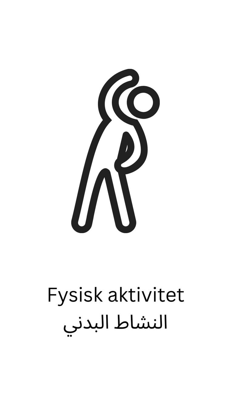 Fysisk Aktivitet